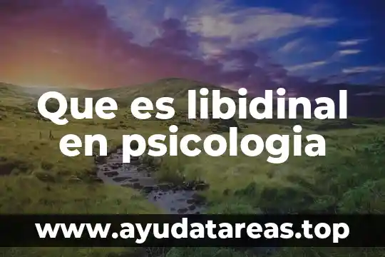 Que es libidinal en psicologia