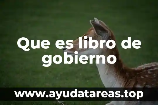 Que es libro de gobierno