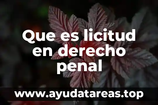 Que es licitud en derecho penal