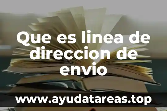 Que es linea de direccion de envio