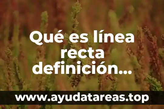 Qué es línea recta definición científica