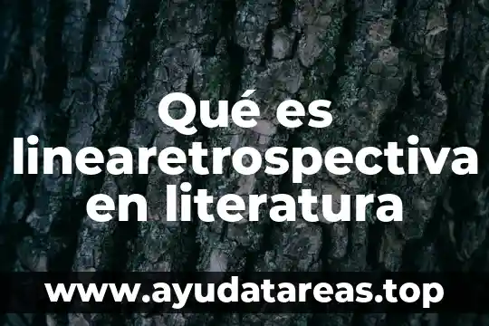 Que es anagrama en literatura 4 Qué es linearetrospectiva en literatura