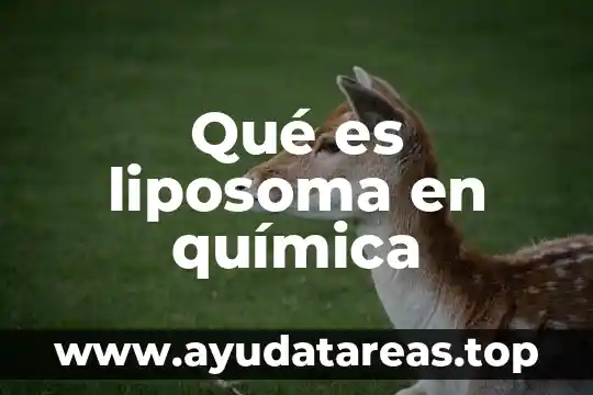 Qué es liposoma en química
