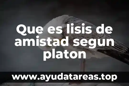 Que es lisis de amistad segun platon