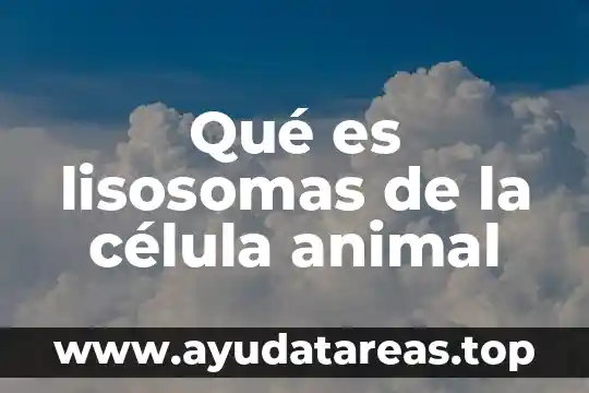 Que es la endonucleasa celula animal 4 Qué es lisosomas de la célula animal