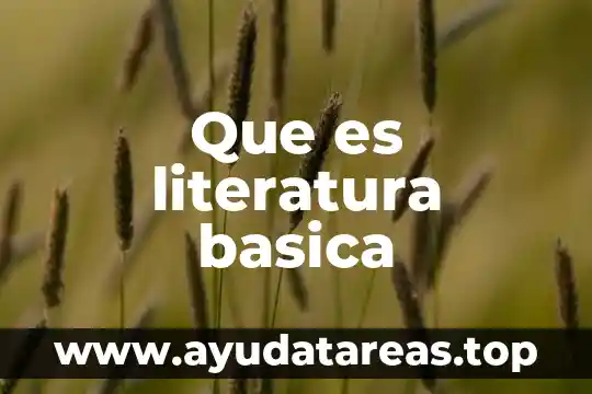 Que es anagrama en literatura 3 Que es literatura basica