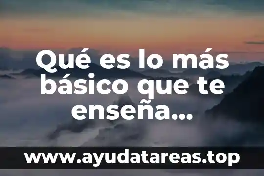 Revista contaduria publica que es y de que sirve 3 Qué es lo más básico que te enseña contaduria