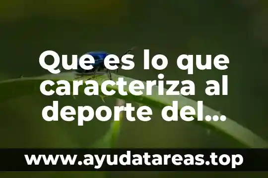 Frases de lo importante que es el deporte 7 Que es lo que caracteriza al deporte del basquetbol yahoo