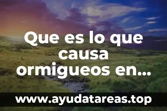Que es catabolizar el cuerpo 8 Que es lo que causa ormigueos en el cuerpo