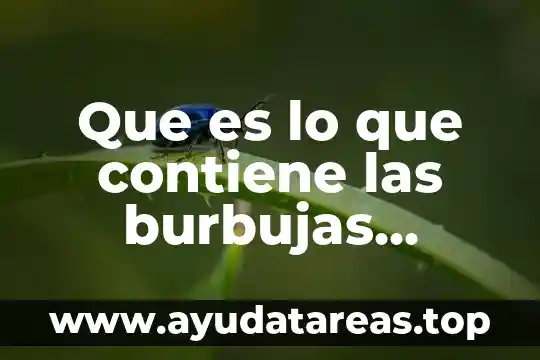 Que es lo que contiene las burbujas cuando hierves agua