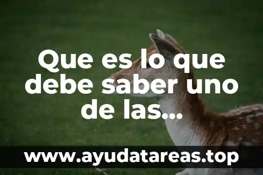 Que es lo que debe saber uno de las computadoras