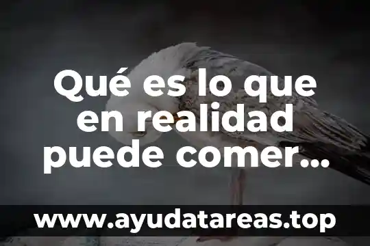 Qué es lo que en realidad puede comer un diabético