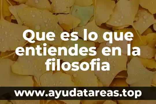 Que es lo que entiendes en la filosofia