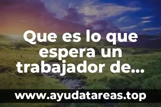 Qué es un jefe de wector en una comunidad 5 Que es lo que espera un trabajador de su jefe