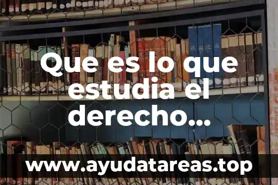 Que es principio de lesividad en el derecho administrativo 6 Que es lo que estudia el derecho administrativo