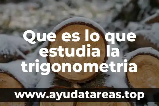Que es lo que estudia la trigonometria