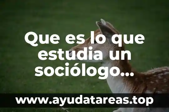 Que es lo que estudia un sociólogo contemporáneo