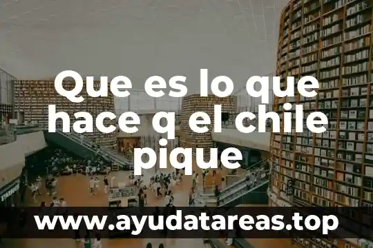 Digital q que es 4 Que es lo que hace q el chile pique
