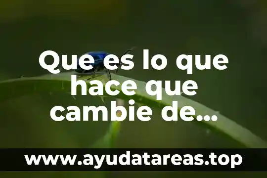 Que es lo que hace un ingeniero en computacion 7 Que es lo que hace que cambie de color