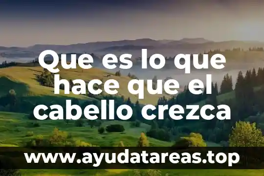 Que es el visagismo en el corte de cabello 5 Que es lo que hace que el cabello crezca