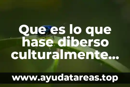 ¿Qué es alebrijes en México? 6 Que es lo que hase diberso culturalmente a mexico
