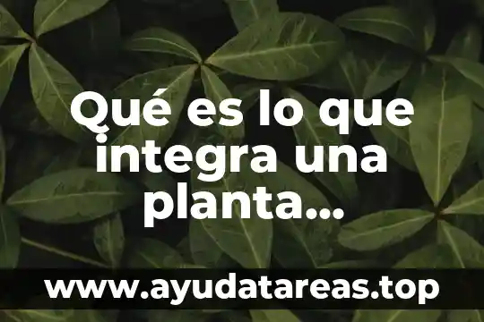 Planta cultivada que es 6 Qué es lo que integra una planta nucleoeléctrica