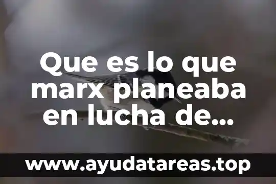 Que es lo que marx planeaba en lucha de clases