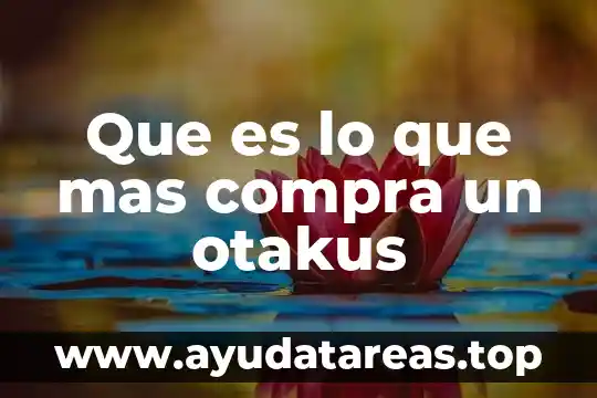 Que es lo que mas compra un otakus