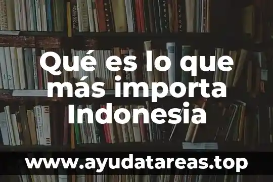 Qué es lo que más importa Indonesia