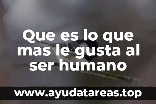 Que es lo que mas me gusta de ti 8 Que es lo que mas le gusta al ser humano