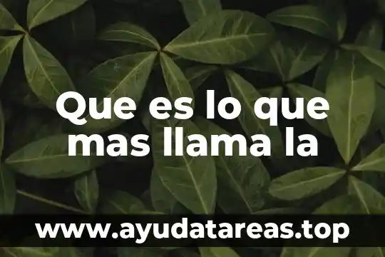 Que es lo que mas llama la