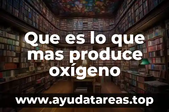 Que es lo que mas produce oxígeno
