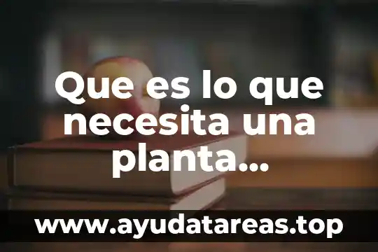 Para que es buena la planta lavanda 6 Que es lo que necesita una planta medicinal para crecer