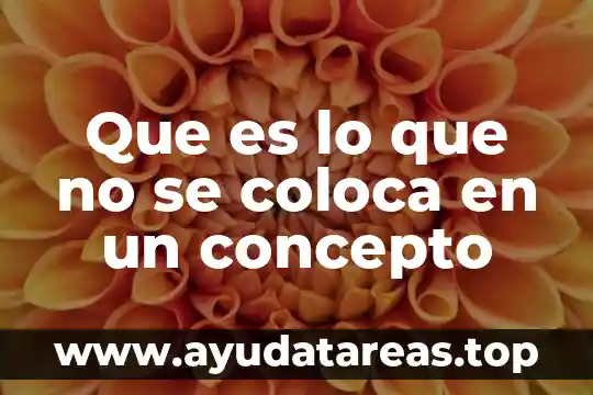 Que es lo que no se coloca en un concepto