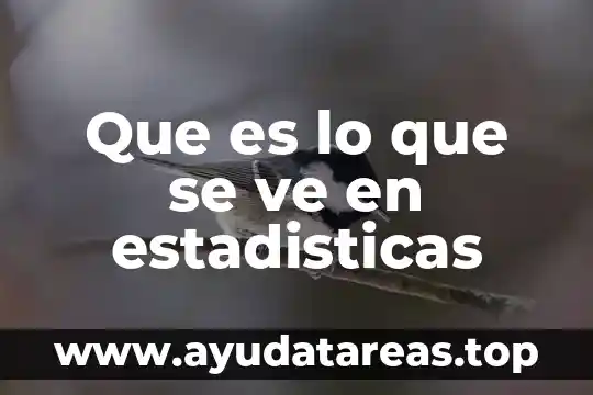 Que es lo que se ve en estadisticas