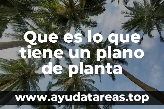 Que es una plaga en una planta 5 Que es lo que tiene un plano de planta
