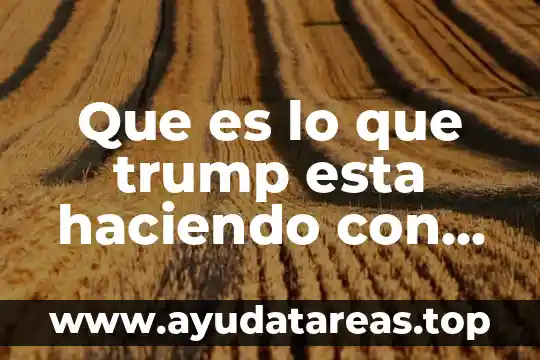 La bandera de estados unidos que es el solenoide 8 Que es lo que trump esta haciendo con estados unidos