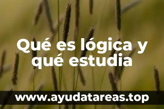 Qué es lógica y qué estudia
