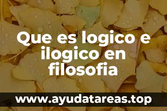 Que es logico e ilogico en filosofia