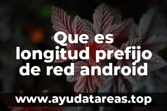 Que es la pesadilla de la red informatica 8 Que es longitud prefijo de red android