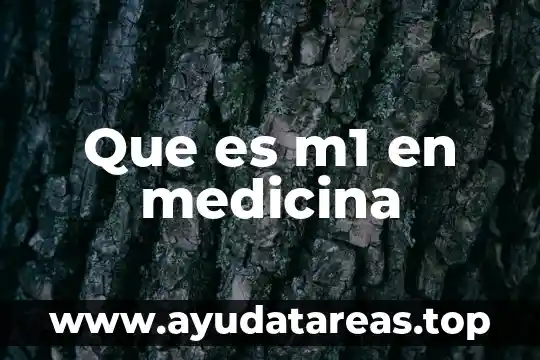 Que es estado de conciencia en medicina 4 Que es m1 en medicina