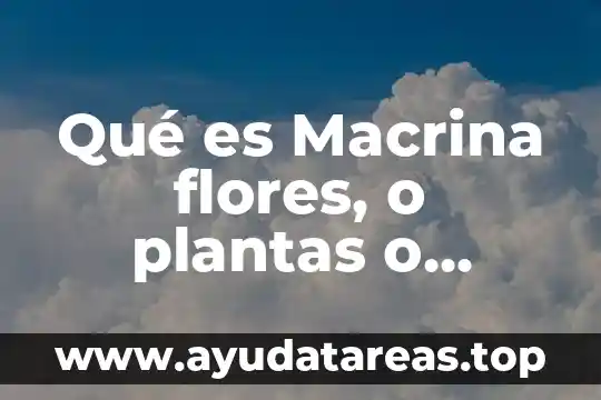Qué es Macrina flores, o plantas o personas