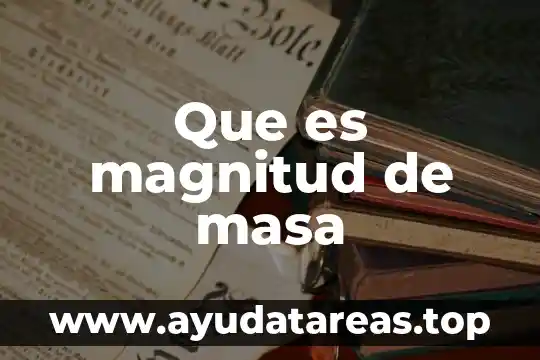 Que es magnitud de masa