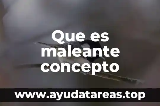 Que es higiene concepto para niños 3 Que es maleante concepto