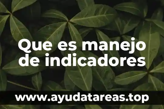 Que es un planeta enano definicion 7 Que es manejo de indicadores