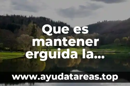 Sobre la importante que es mantener el salon limpio 5 Que es mantener erguida la planta