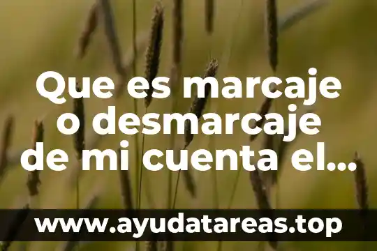Que es la linea de captura sat 4 Que es marcaje o desmarcaje de mi cuenta el sat
