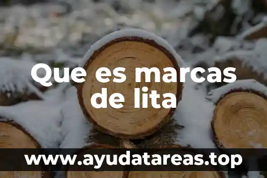 Que es marcas de lita
