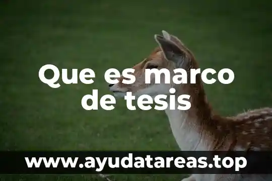 Que es marco de tesis