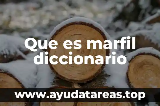 Que es marfil diccionario